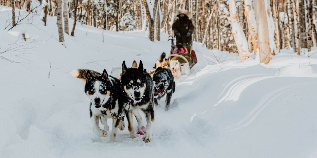 Traineau_a_chiens_st-Vianney