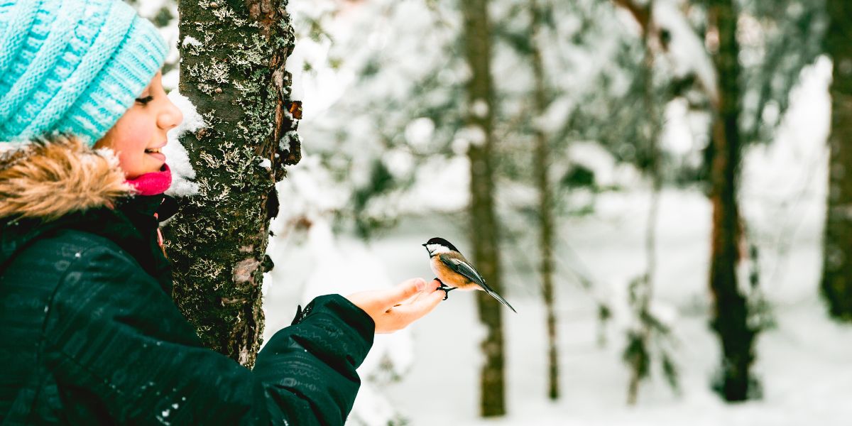 Club de ski de fond Harfang des Neiges